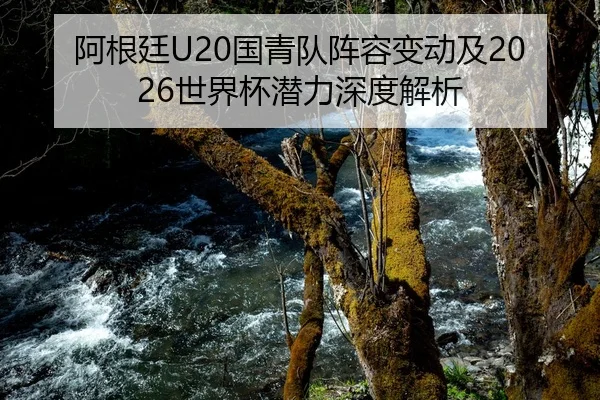 阿根廷U20国青队阵容变动及2026世界杯潜力深度解析